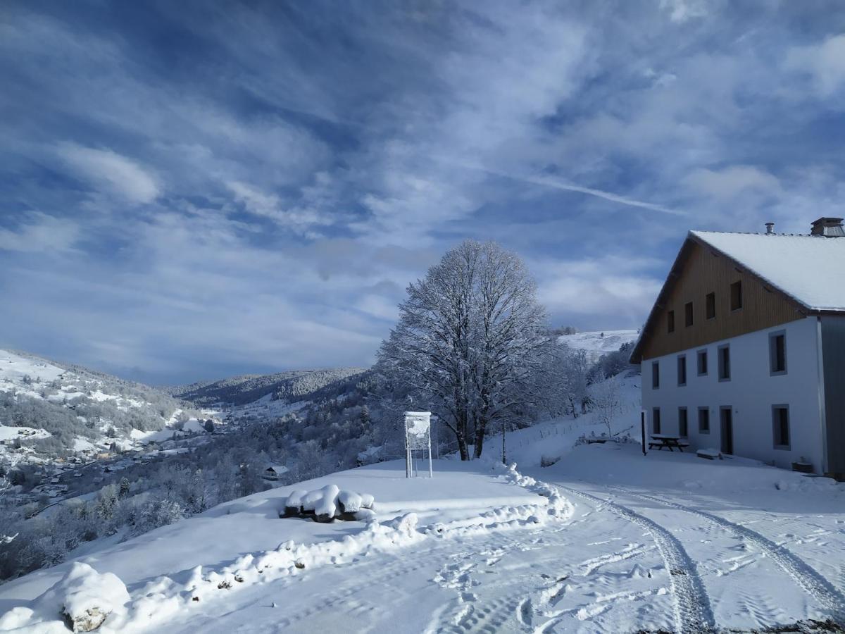 Gites De Moyenmont La Bresse Bagian luar foto