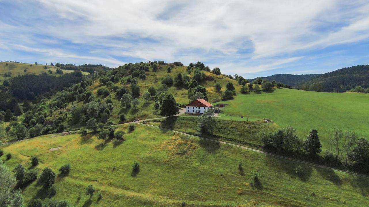 Gites De Moyenmont La Bresse Bagian luar foto
