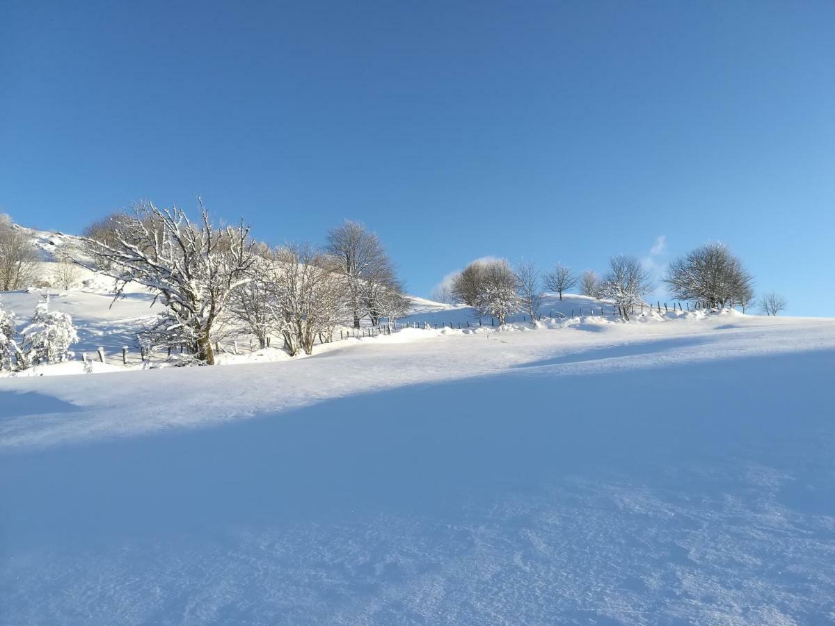 Gites De Moyenmont La Bresse Bagian luar foto