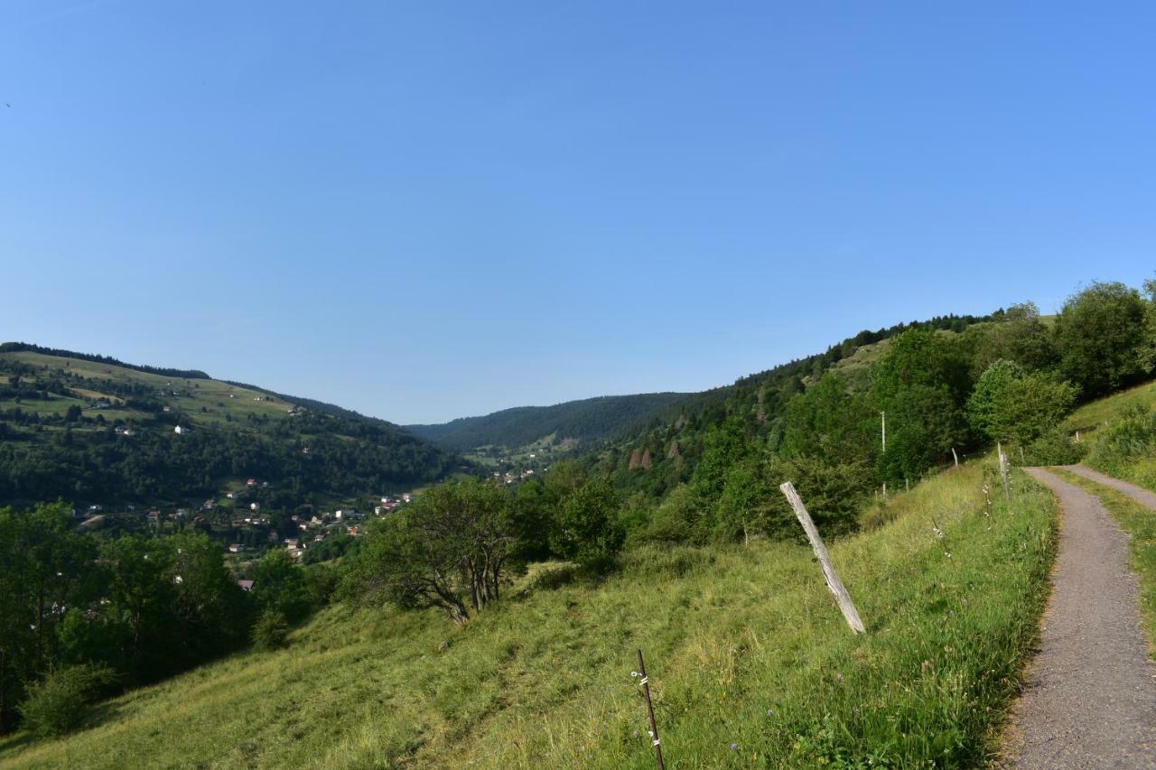 Gites De Moyenmont La Bresse Bagian luar foto